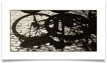 05 shadowed - Carol Sparkes